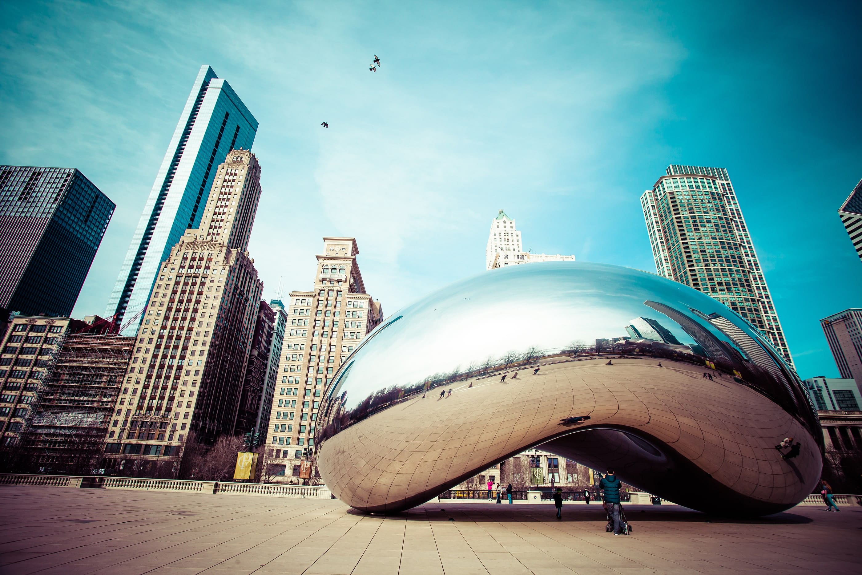 Illinois acumen fiscal agent